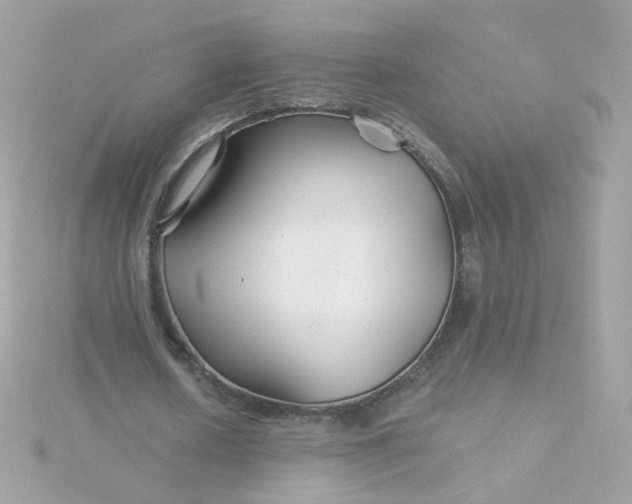 X0000115690626200911251814