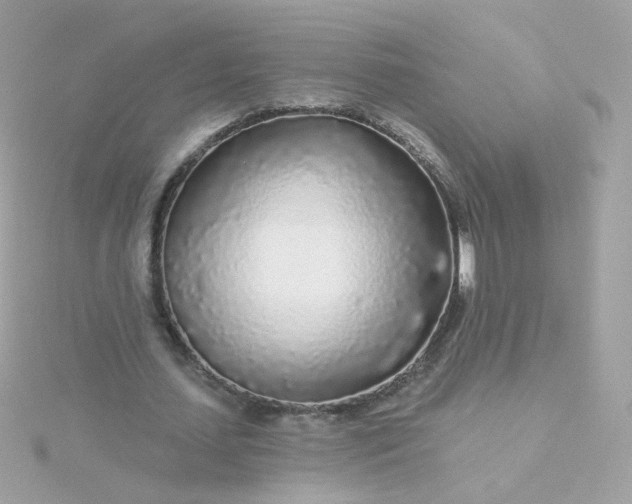 X0000115690627200911251814