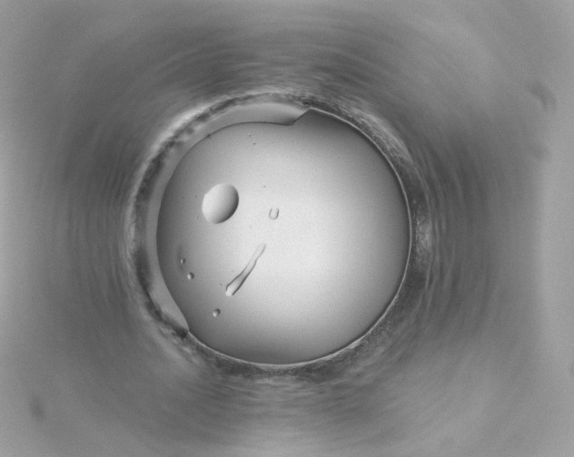 X0000115690628200911251814