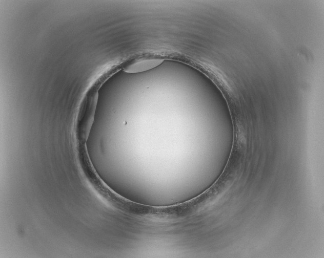 X0000115690630200911251814