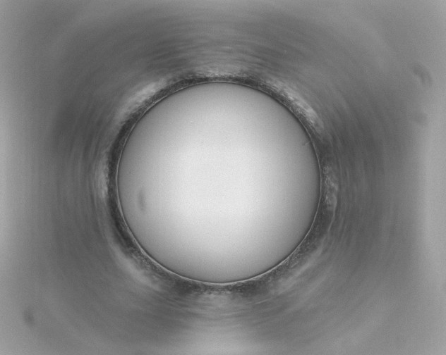 X0000115690631200911251814