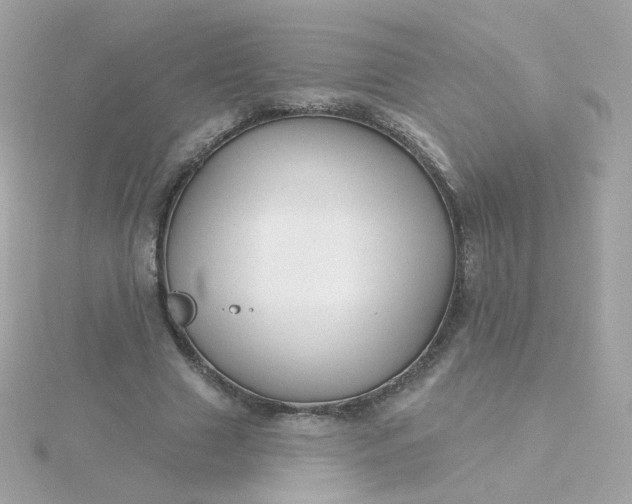 X0000115690633200911251814