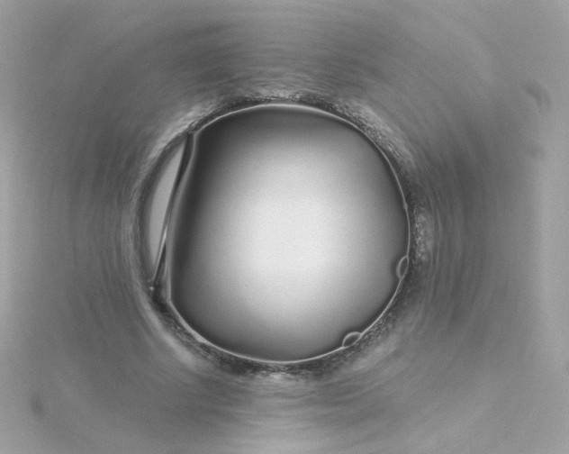 X0000115690634200911251814