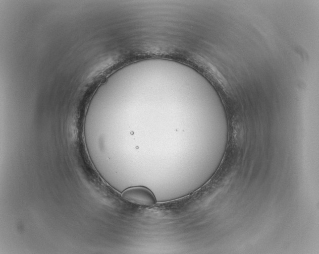 X0000115690635200911251814