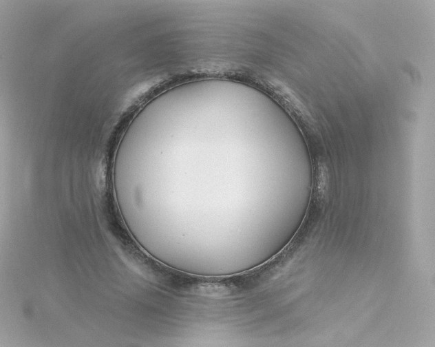 X0000115690636200911251814