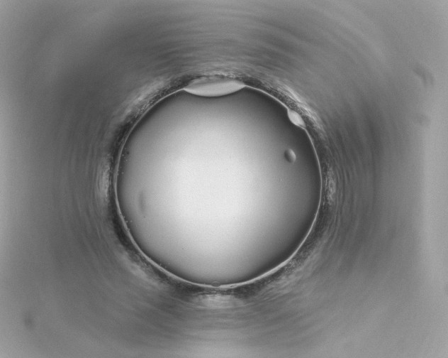 X0000115690637200911251814