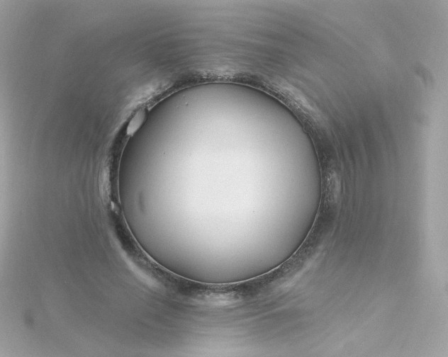 X0000115690638200911251814