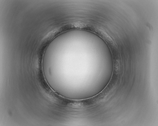 X0000115690639200911251814