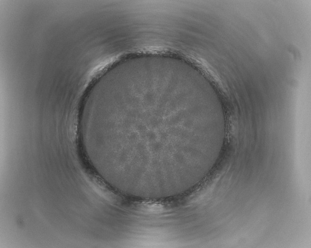 X0000115690640200911251814