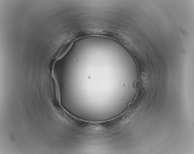 X0000115690642200911251814