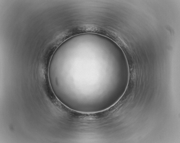 X0000115690643200911251814