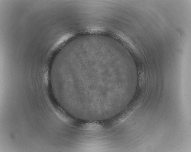 X0000115690644200911251814