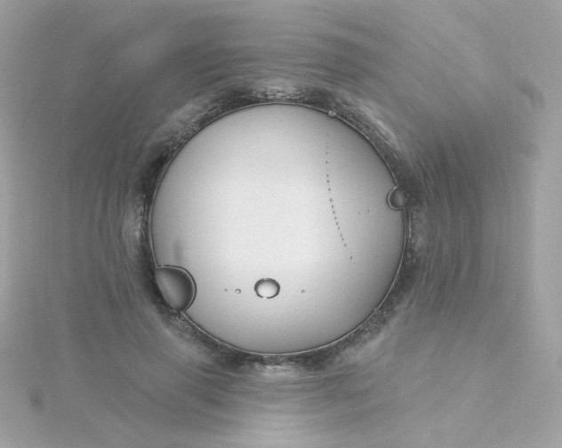 X0000115690645200911251814