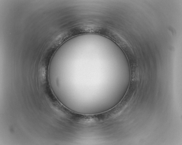 X0000115690646200911251814