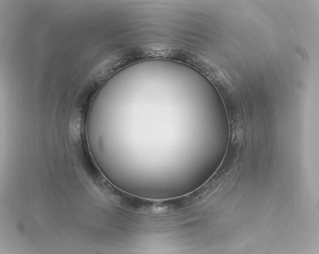 X0000115690647200911251814