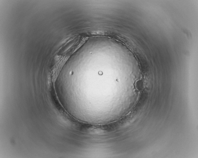 X0000115690648200911251814