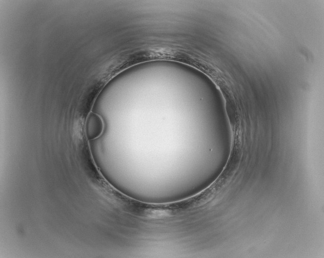 X0000115690649200911251814