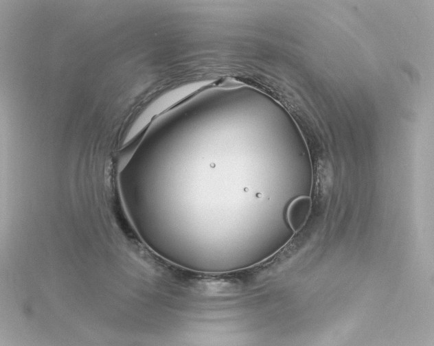 X0000115690650200911251814