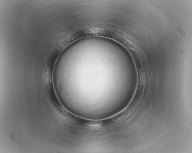 X0000115690651200911251814