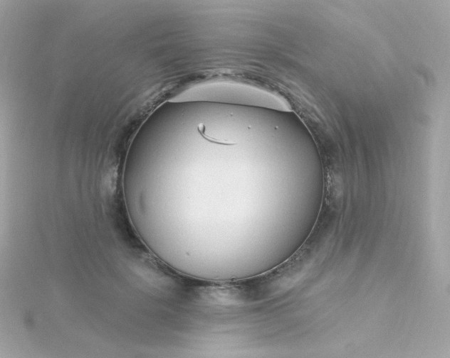 X0000115690652200911251814