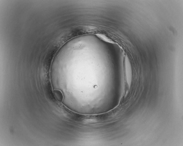 X0000115690653200911251814