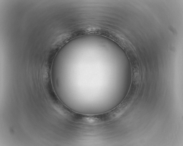 X0000115690654200911251814