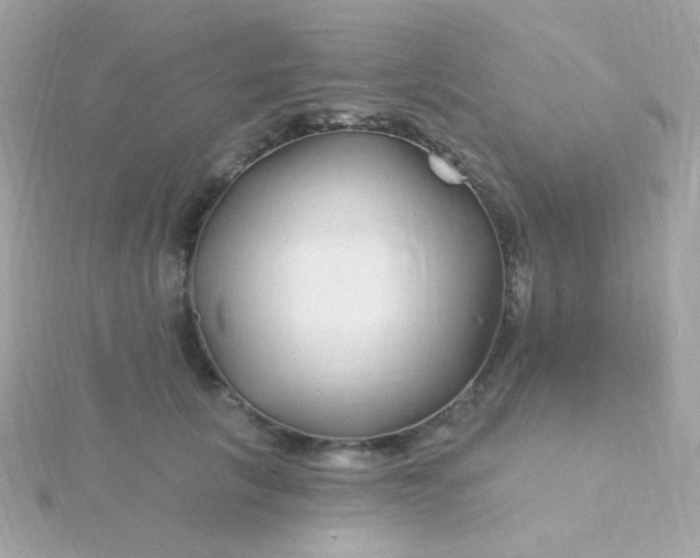 X0000115690657200911251814