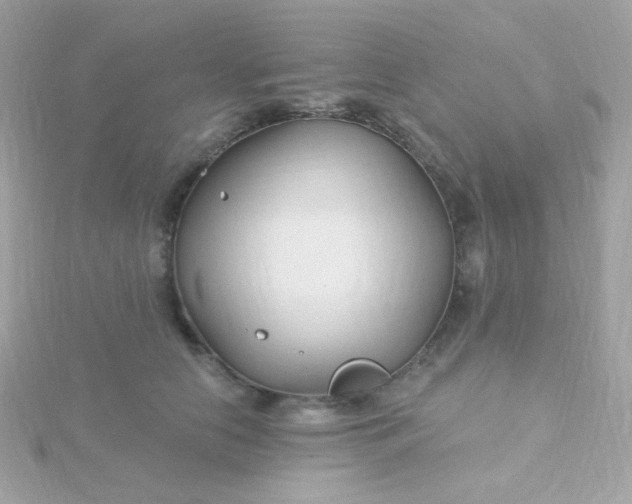 X0000115690658200911251814