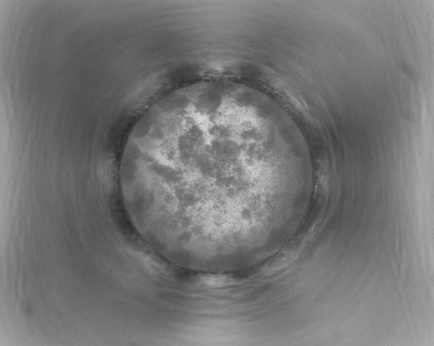 X0000115690659200911251814