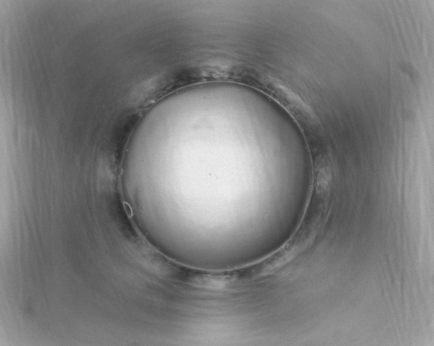 X0000115690661200911251814