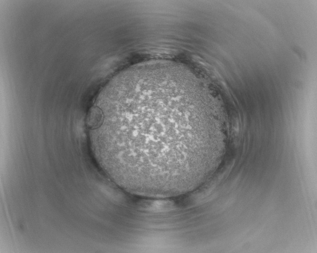 X0000115690663200911251814