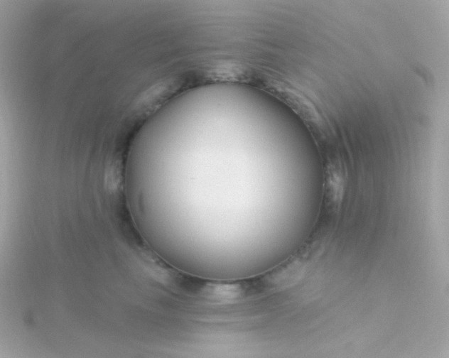 X0000115690665200911251814