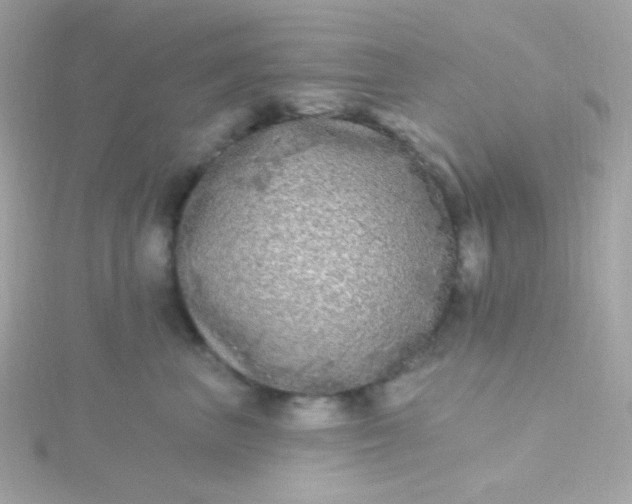 X0000115690667200911251814