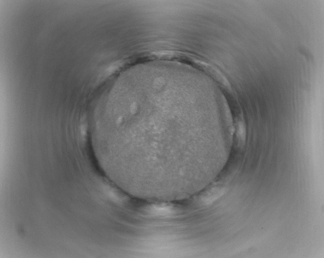 X0000115690668200911251814