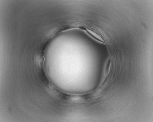 X0000115690669200911251814