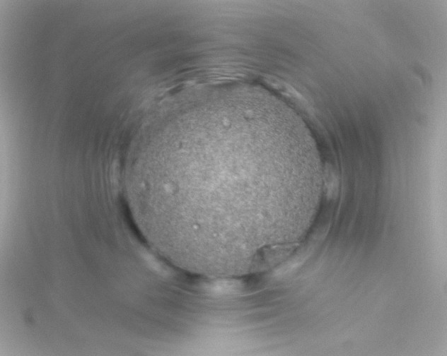 X0000115690670200911251814