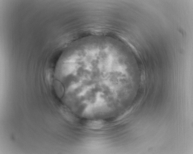 X0000115690671200911251814