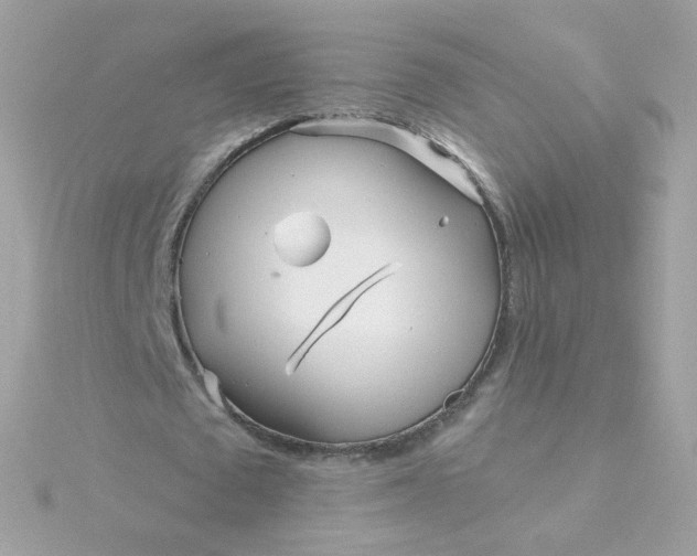 X0000115690673200911251813