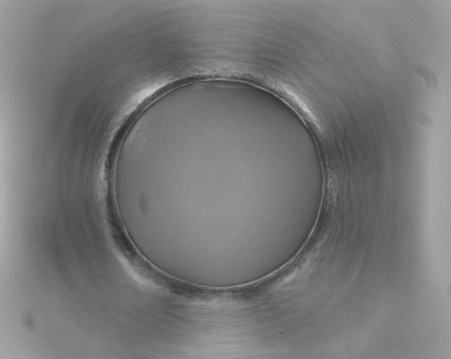 X0000115690674200911251813