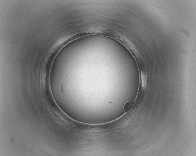 X0000115690675200911251813