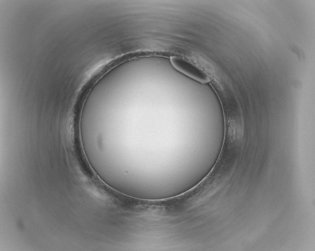 X0000115690676200911251813