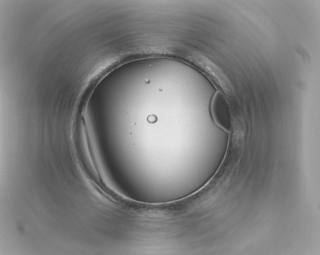 X0000115690677200911251813