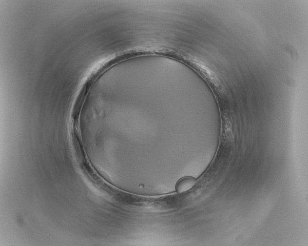 X0000115690678200911251813