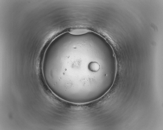 X0000115690679200911251813