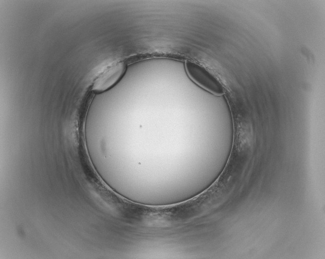 X0000115690680200911251813