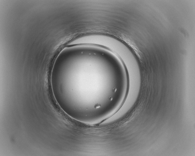 X0000115690681200911251813