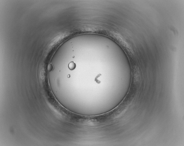 X0000115690683200911251813