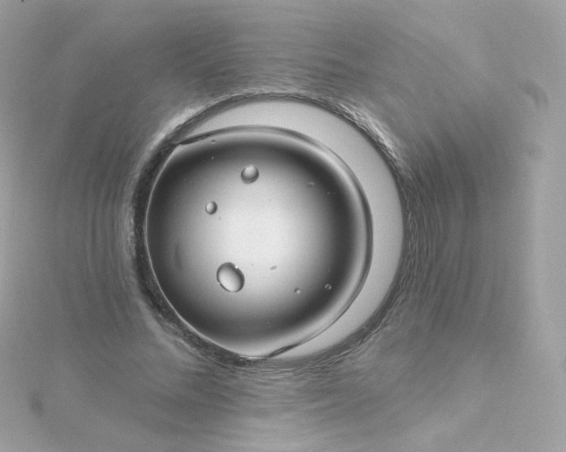 X0000115690684200911251813