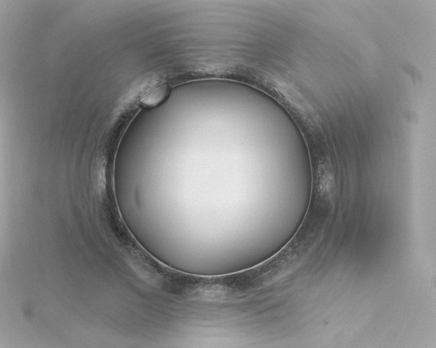 X0000115690685200911251813