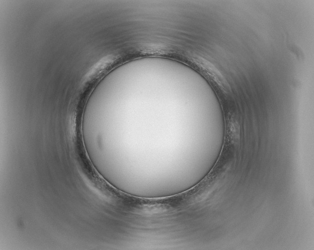 X0000115690686200911251813